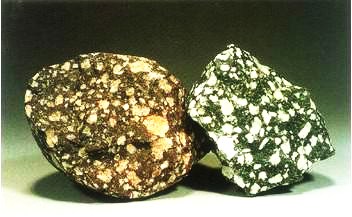 那些个能满足猎奇心理的美食