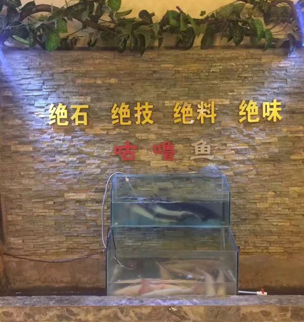 7石咕咕鱼稷山店,六年老店特推出新品,爱吃就不容错过