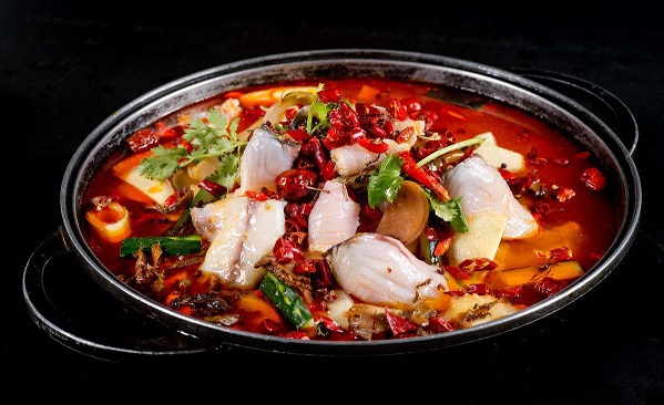 吃重庆鱼重庆鱼火锅——样式多元化，菜品不受限